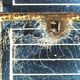 Illustration for article titled In Space, Even A Single Grain Can Lead To Catastrophe